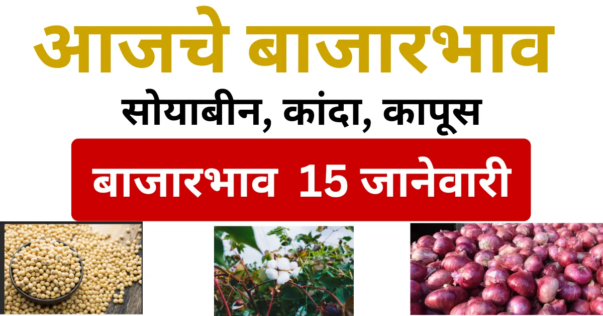 आजचा बाजारभाव