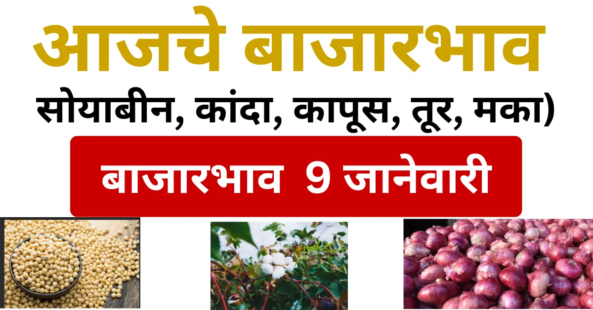 आजचे बाजारभाव 9 जानेवारी