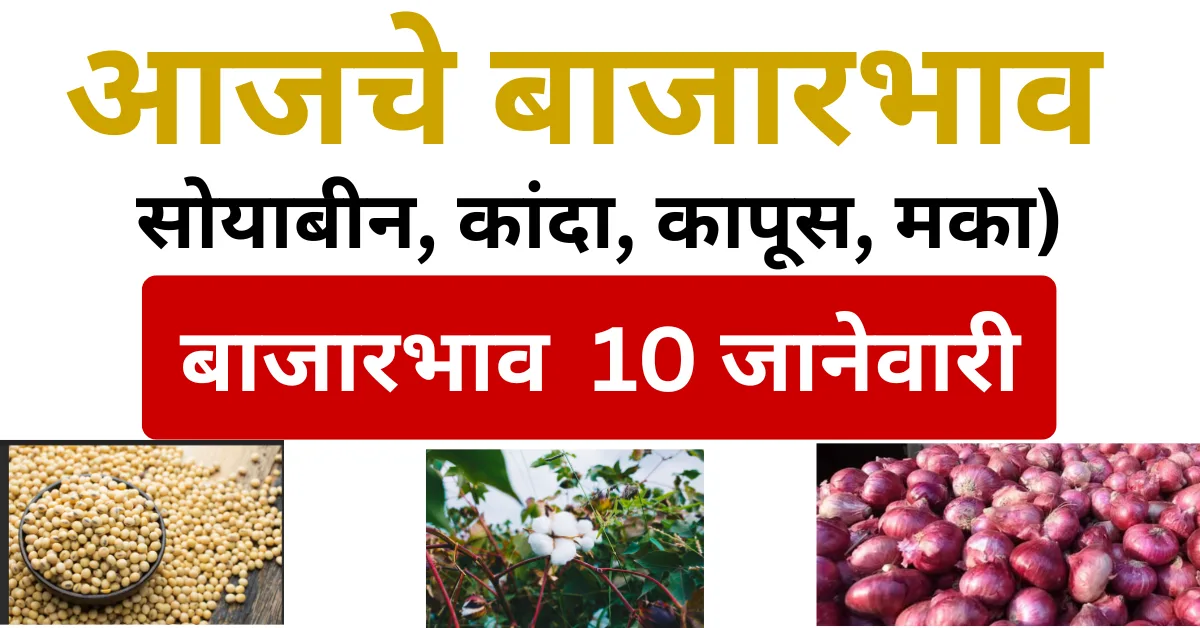 आजचे बाजारभाव सोयाबीन